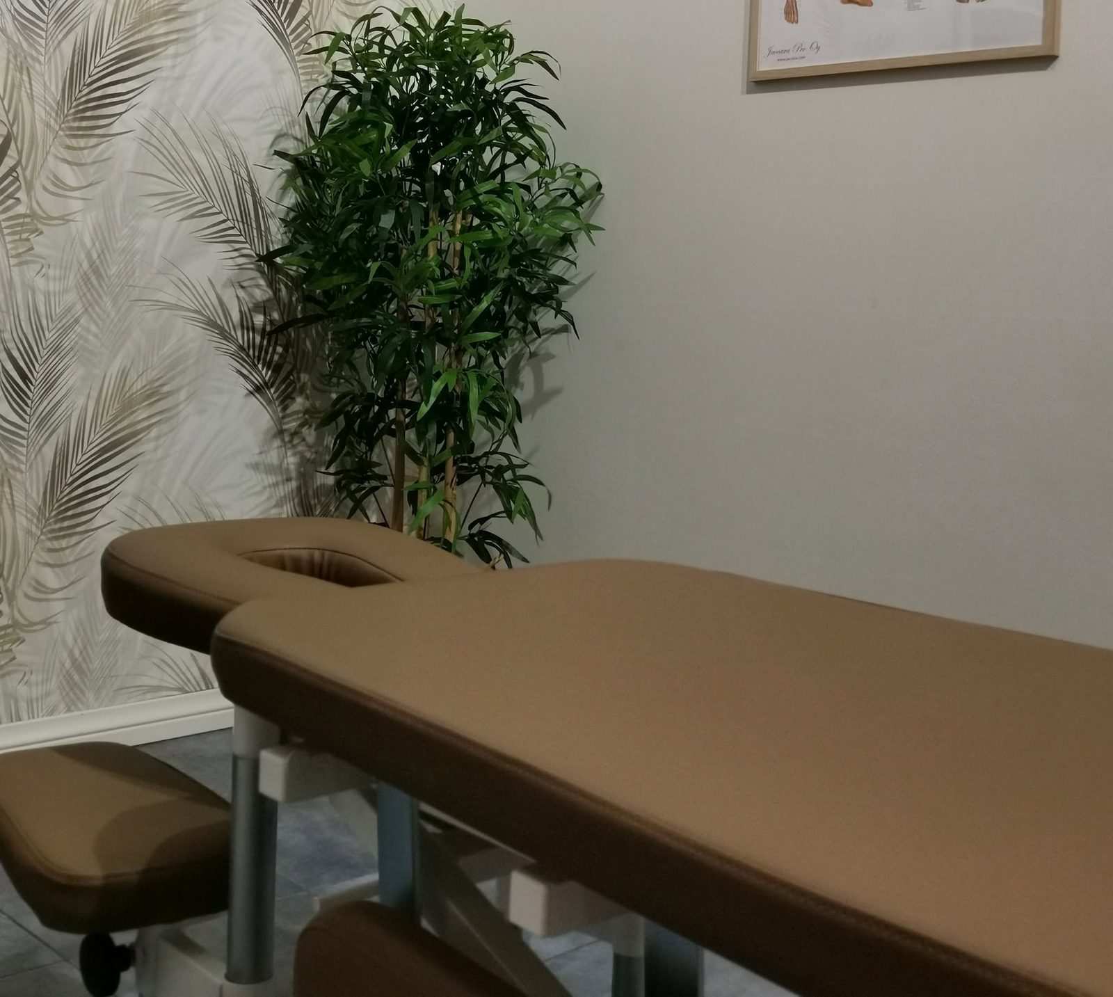 Hierontapöytä vastaanottohuoneessa, vieressä viherkasvi ja seinällä anatomiajuliste.